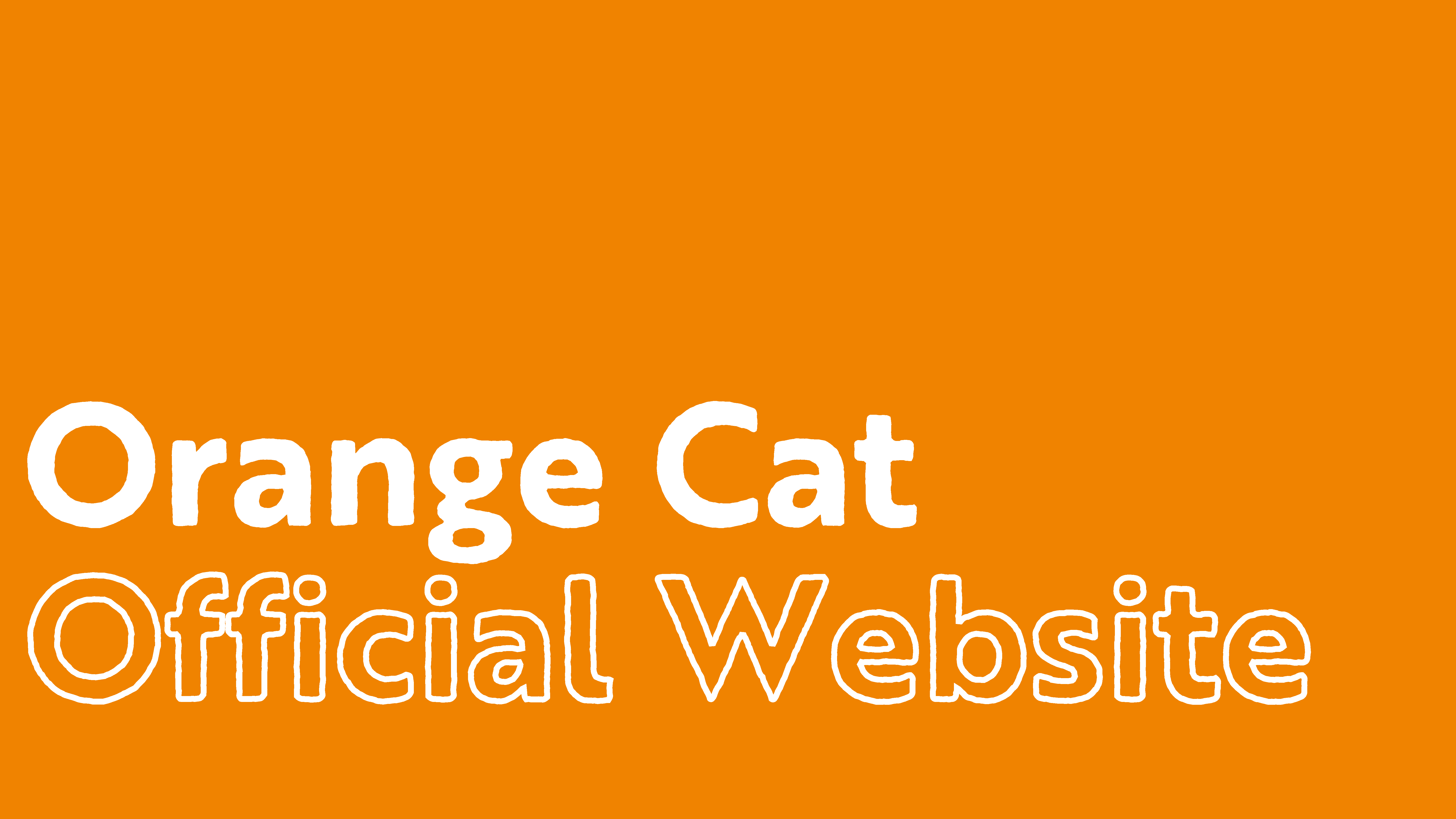 橙子猫 Orange Cat